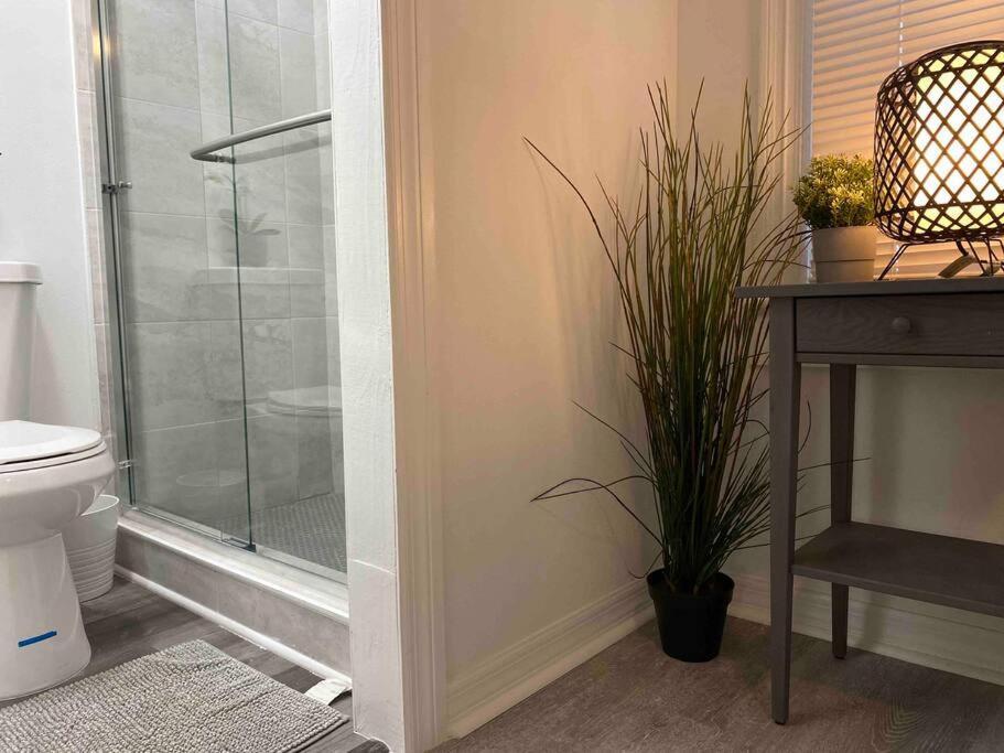 Chic Bungalow Apartment Steps From Armature Works & Downtown Riverwalk Tampa Exterior foto